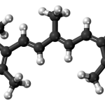 Peptidoglicano o mureína